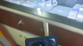 vivox80