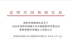 各行业职称申报找我
