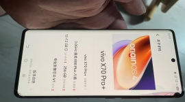 出个Vivo X70pro+，12+256。320元。