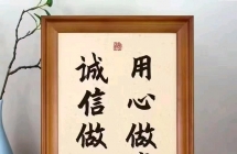 20年专业审车保险赵