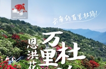 曲靖万亩杜娟二日游，4月4日出发 电话15987185227