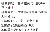 来一款已上市糖尿病口服已上市药