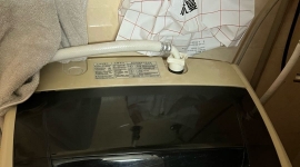 出一台小天鹅名牌洗衣机6.5KG