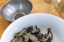 2021年景迈25一片（特价）