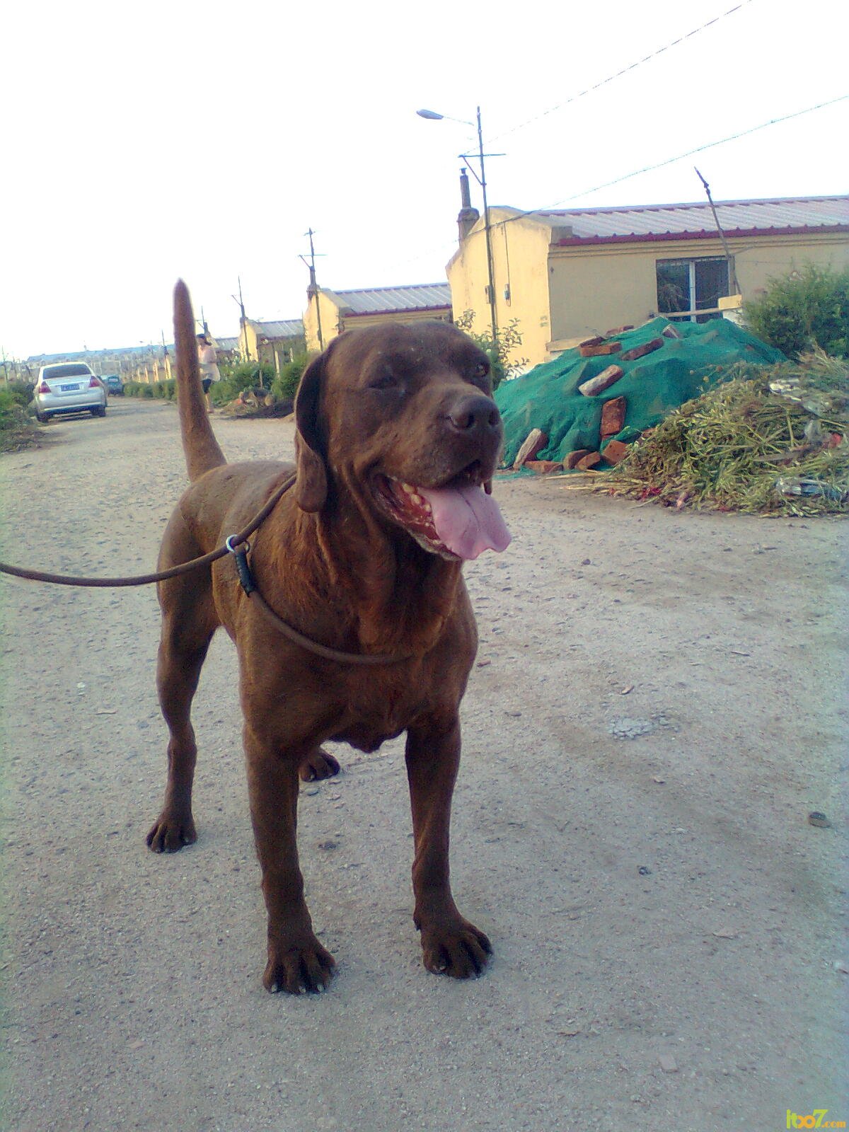 20119149475644077.jpg