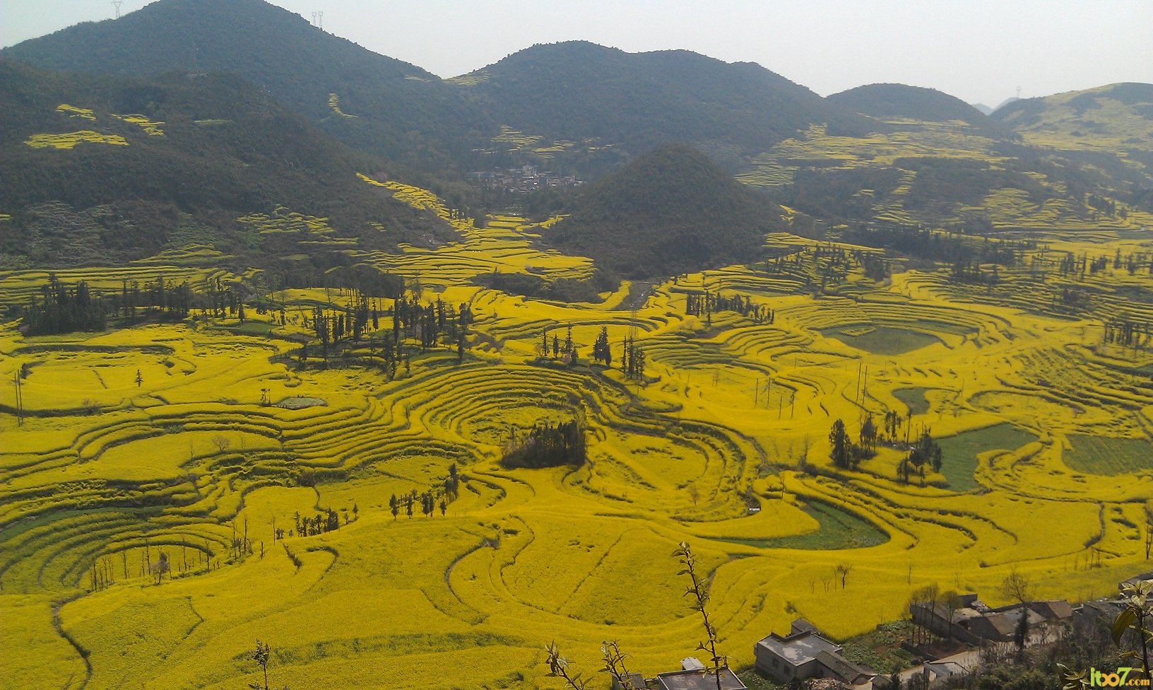IMAG0005.jpg