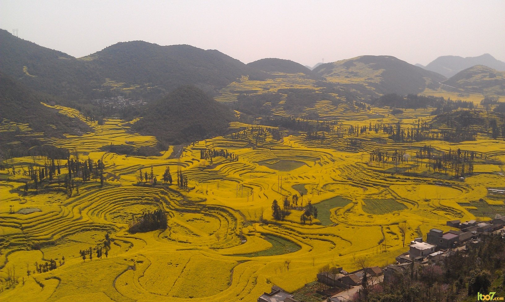 IMAG0012.jpg