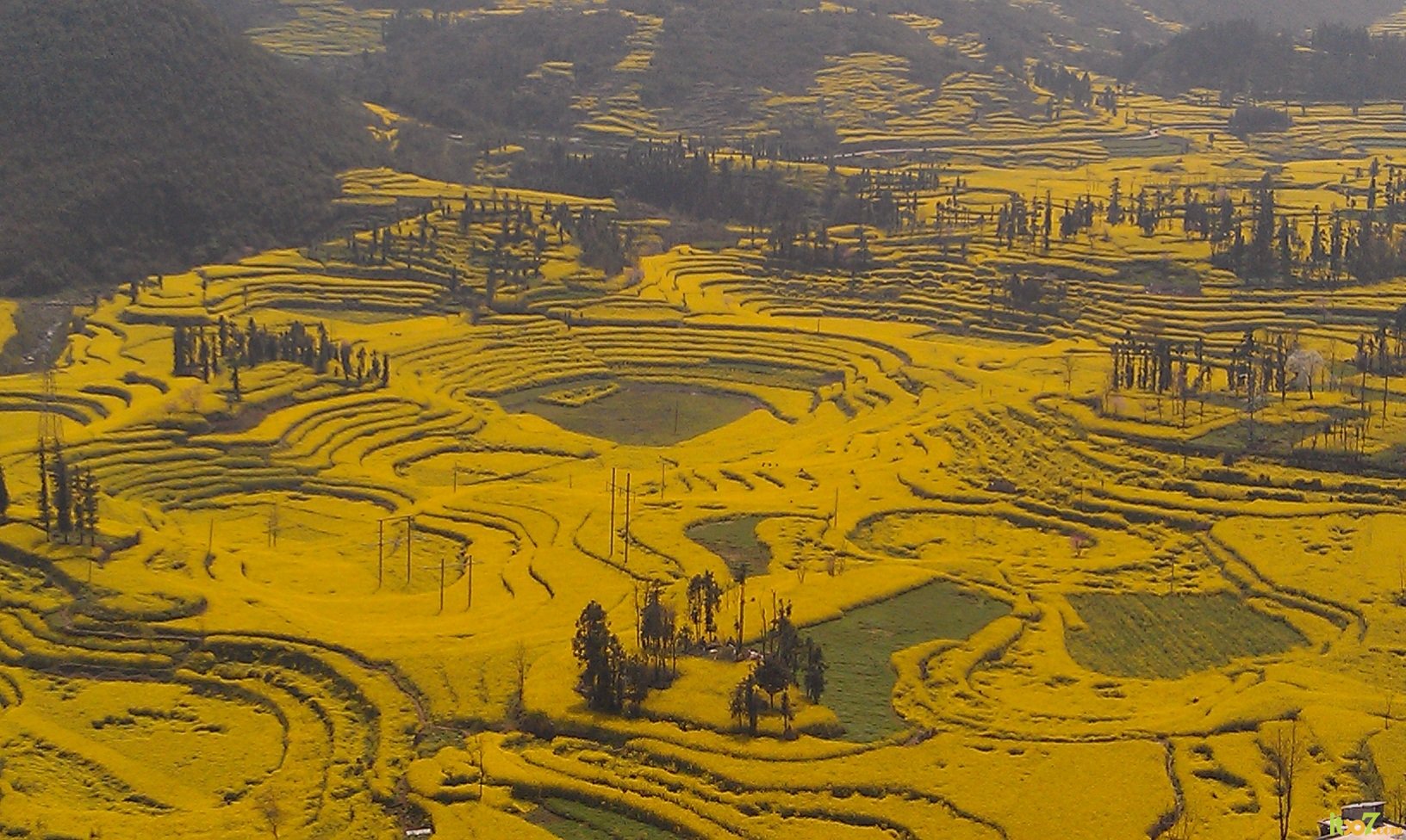 IMAG0016.jpg