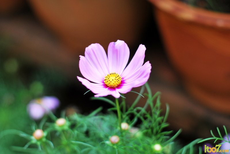DSC_2186.JPG