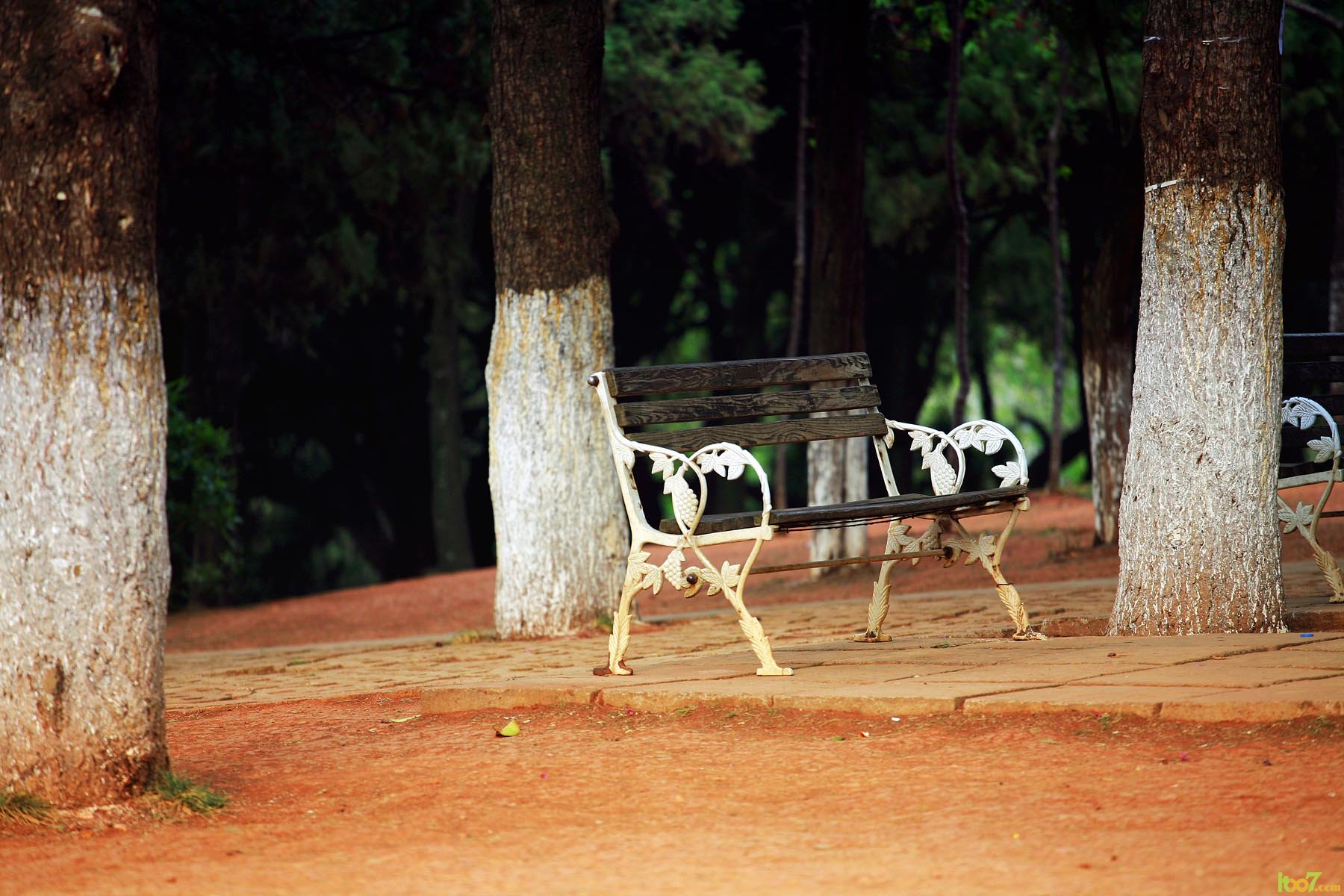 _MG_6533.jpg