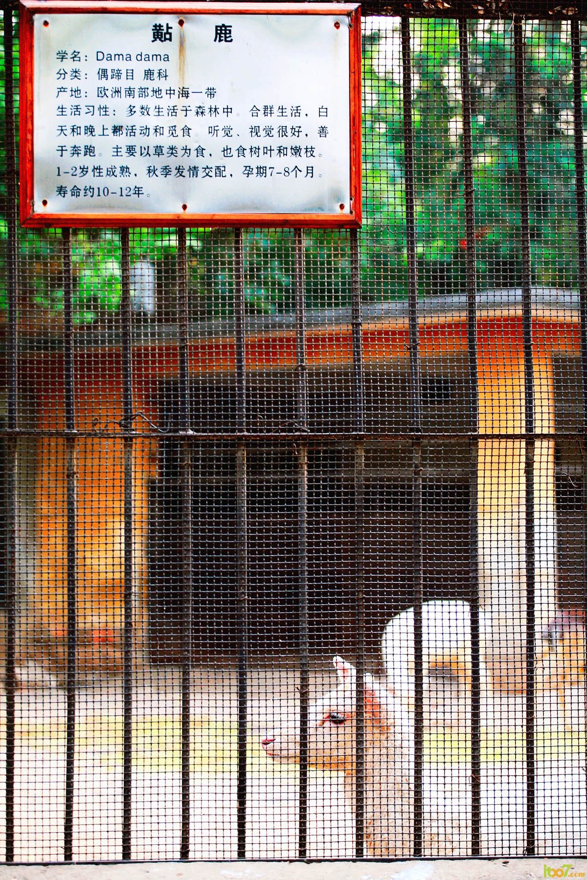 _MG_6555.jpg