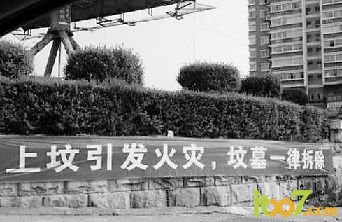 Img339605419.jpg