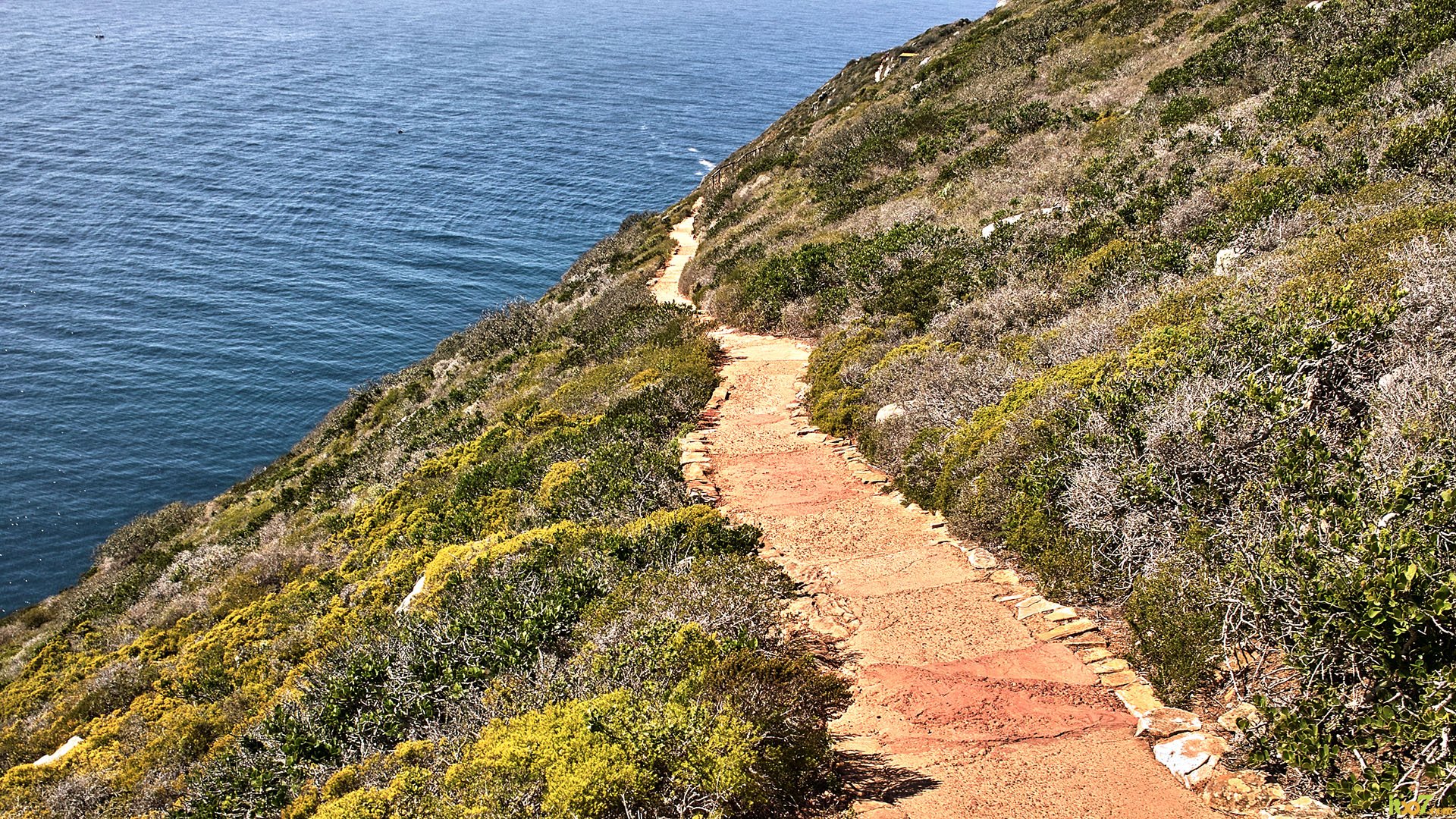 SDIM0648.jpg