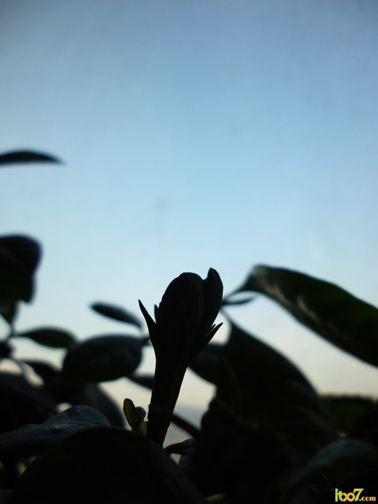 p1030226_副本.jpg