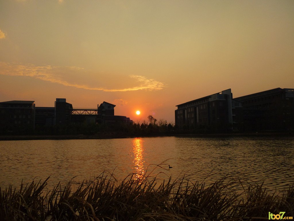 p1030388_副本.jpg
