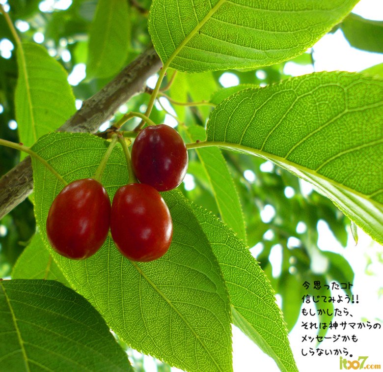 p1040101_副本_副本.jpg
