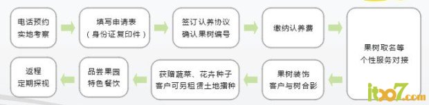 认养.jpg