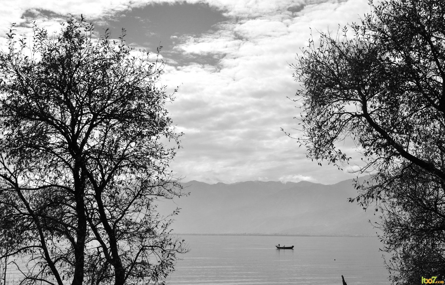 DSC_6542_调整大小.jpg