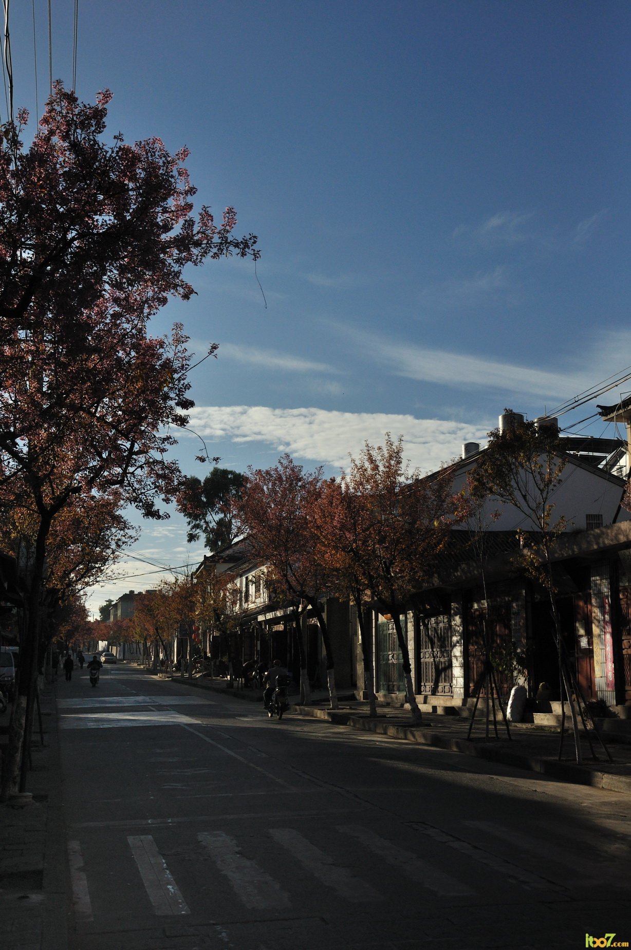 DSC_6337_调整大小.jpg