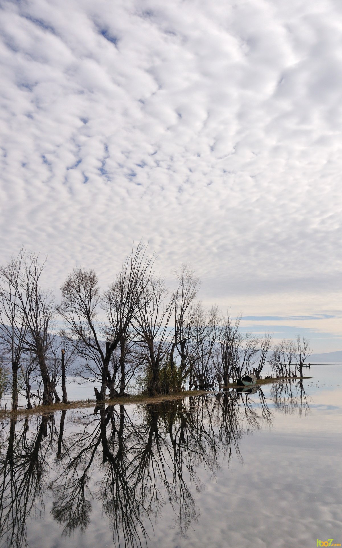 DSC_6447_调整大小.jpg