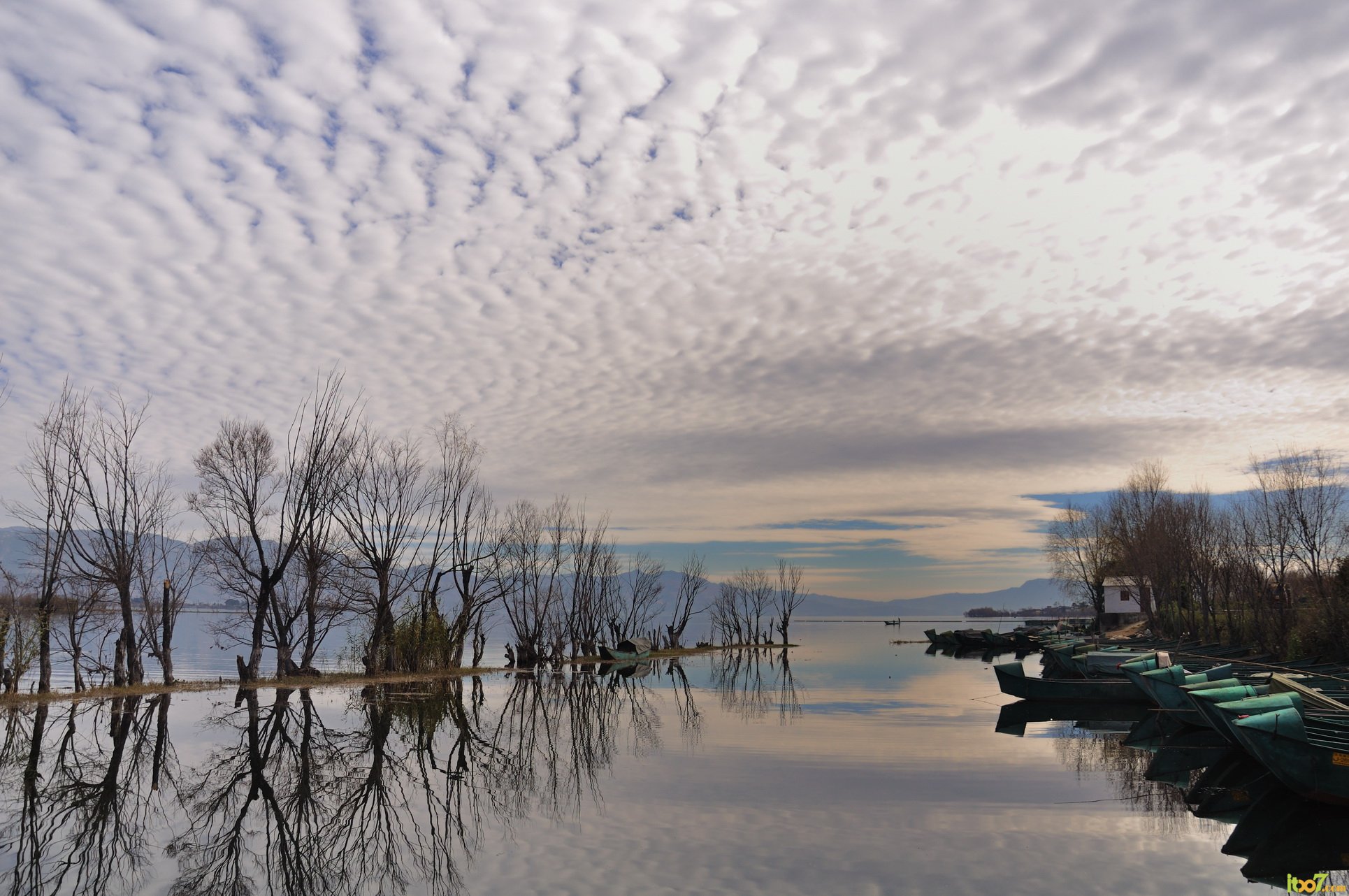 DSC_6440_调整大小.jpg