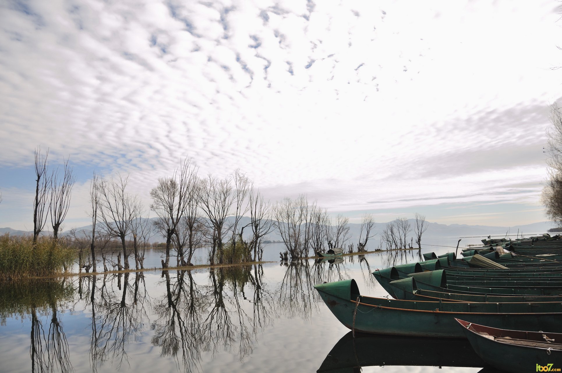 DSC_6434_调整大小.jpg