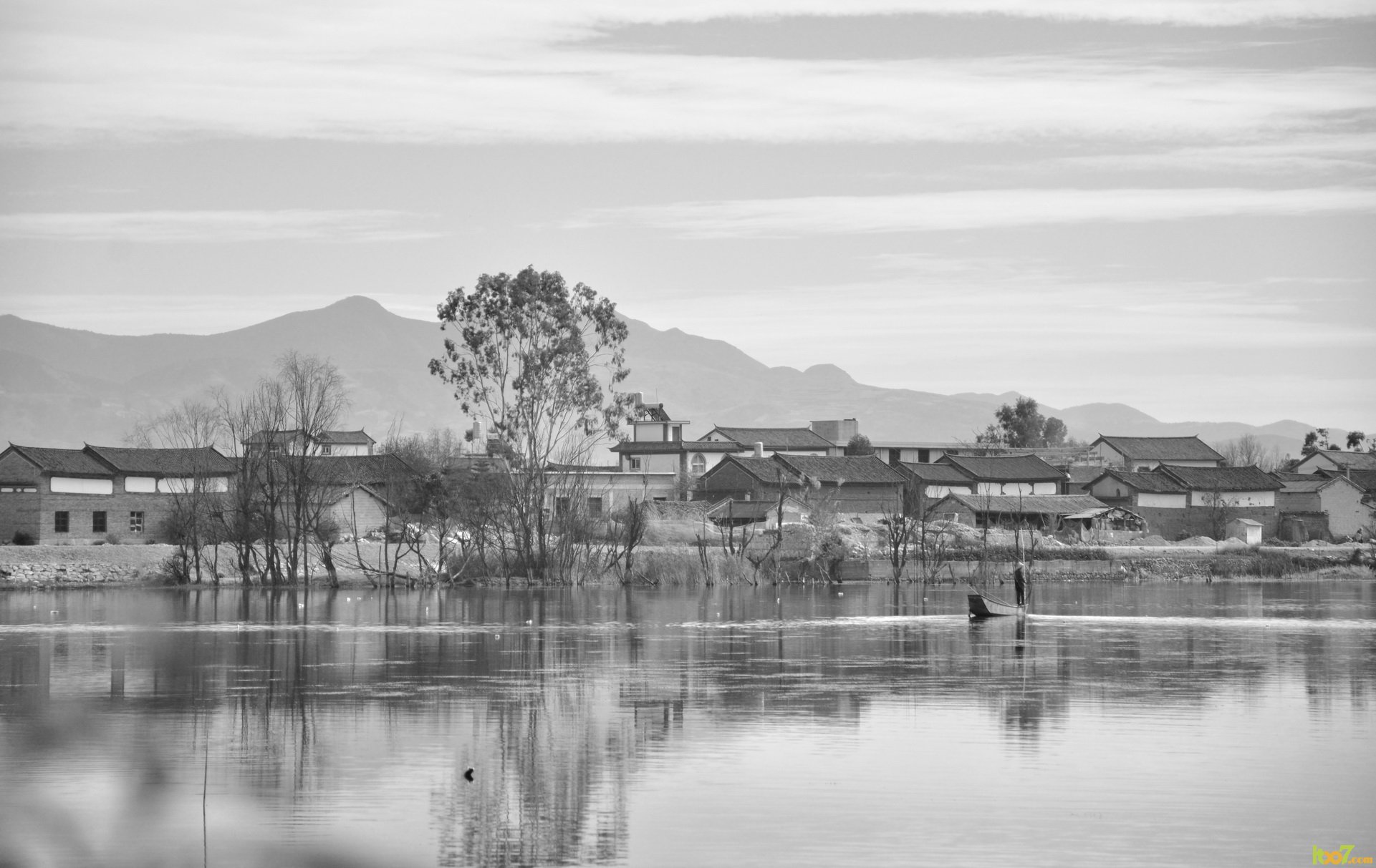 DSC_6464B_调整大小.jpg