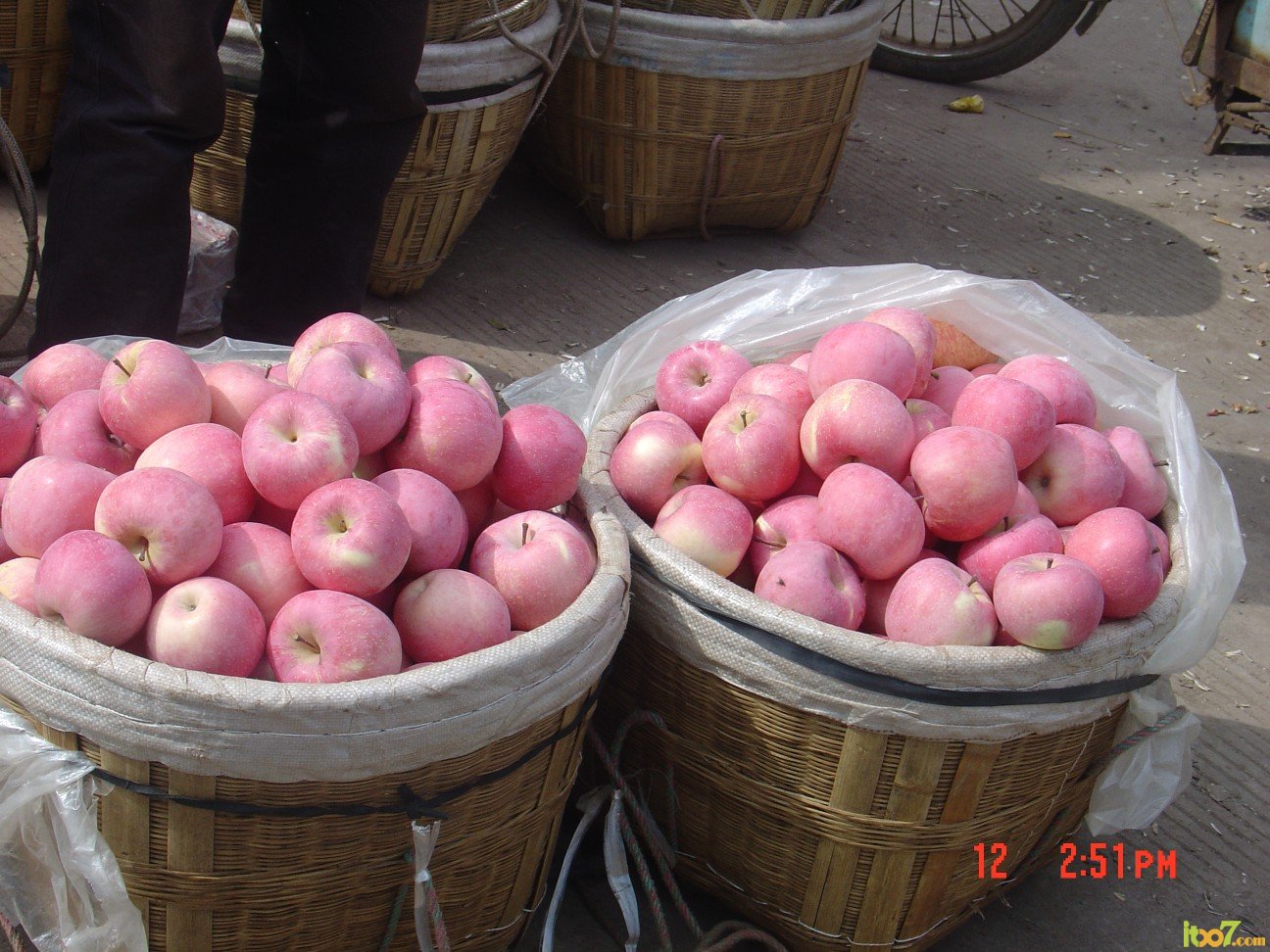 conew_dsc01035.jpg