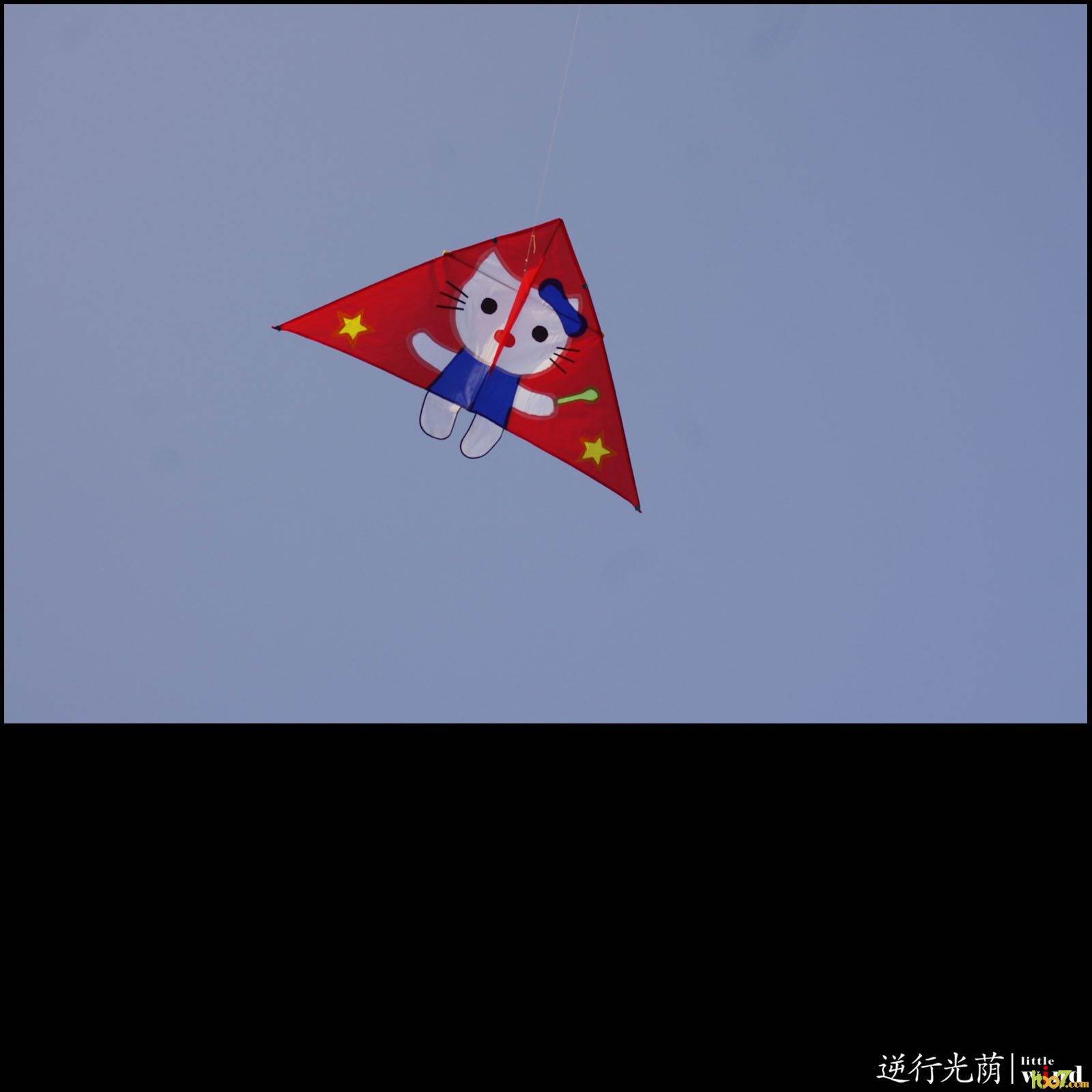 47.jpg