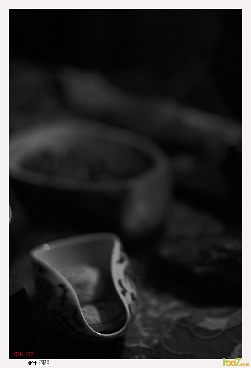 9Y5J7436.jpg