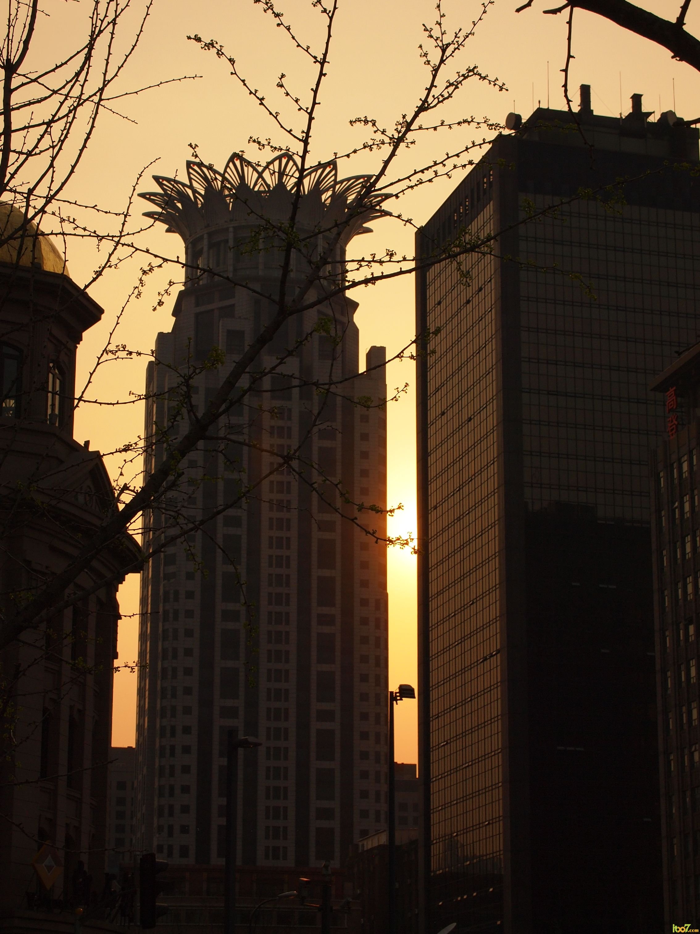 s3024_P4050219.JPG
