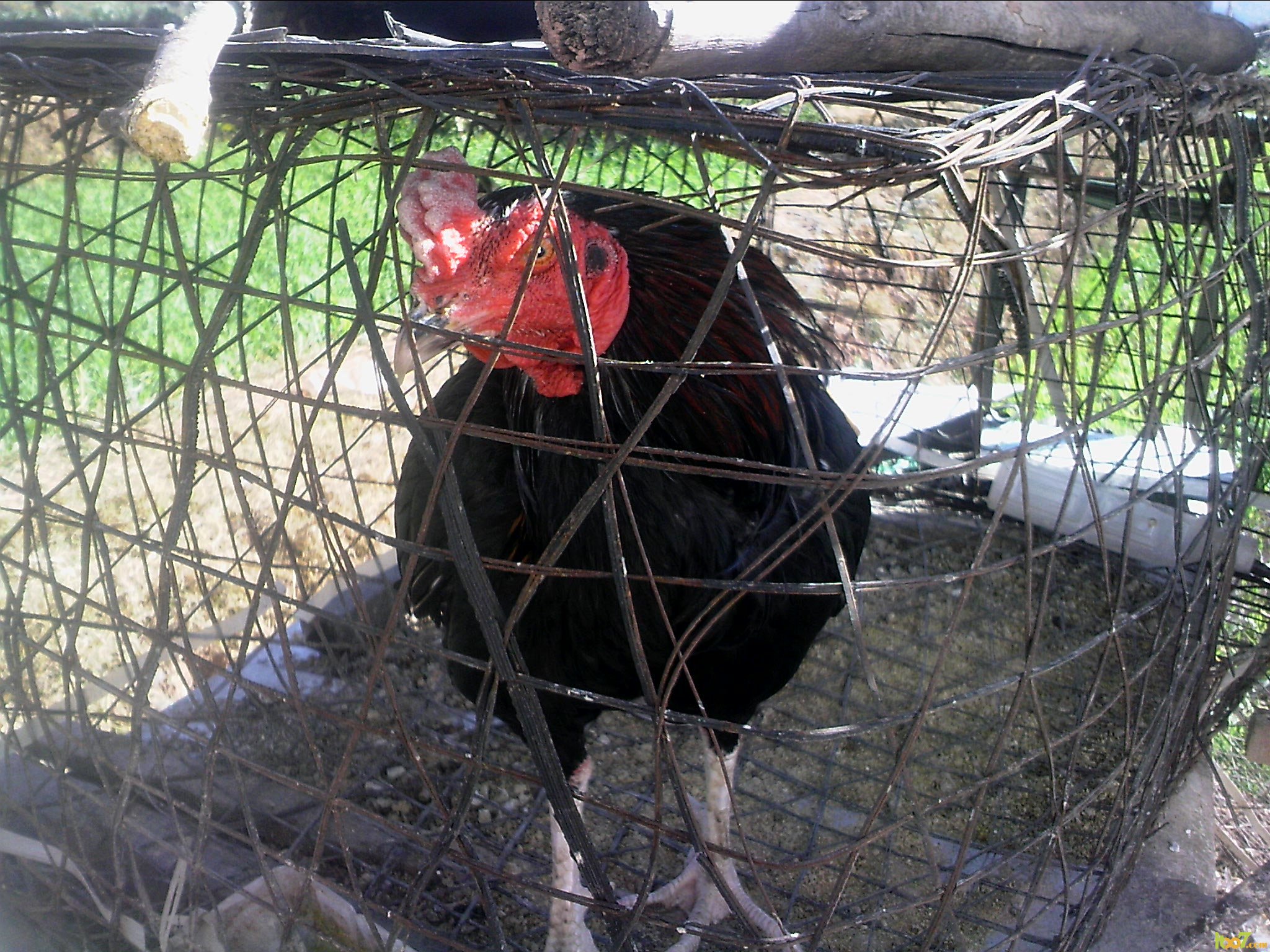 120124A000.jpg