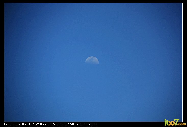 IMG_1304.jpg