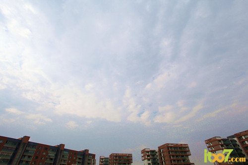 IMG_0031_副本.jpg