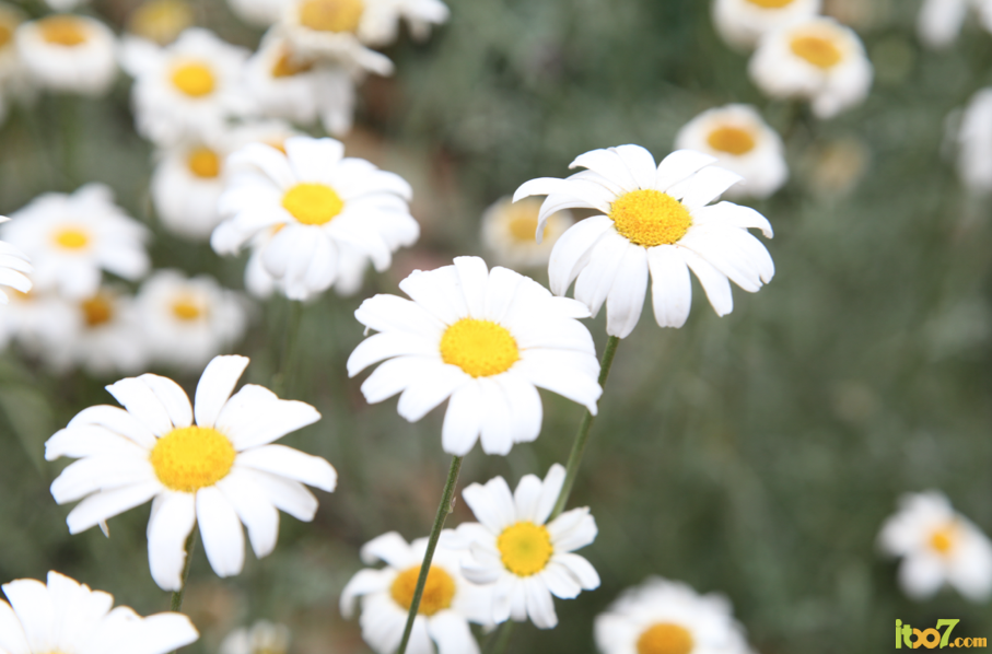 5D614916-8CEB-4E68-A076-BF6F67DFDC64.png