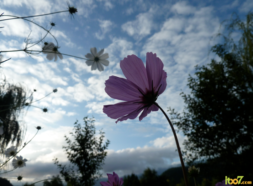 4954AAB9-34C1-4D01-8B5E-2D3456DEDBB8.png