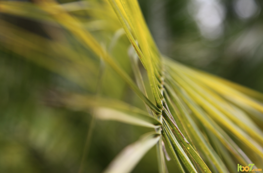 7521FF63-C1F6-4250-950F-E4E577138551.png
