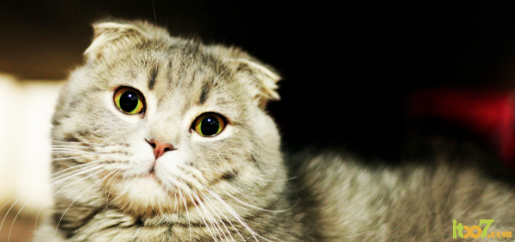 QQ20120603-2.png
