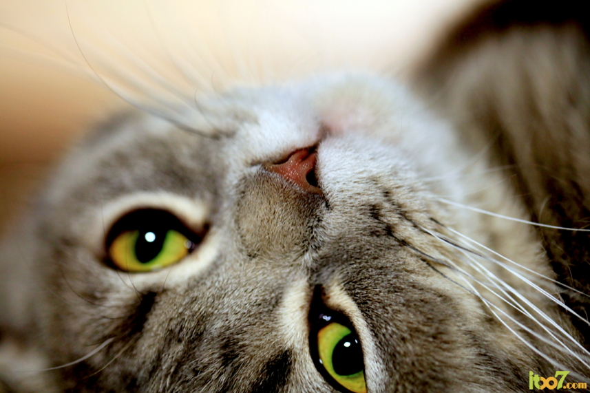 QQ20120603-7.png