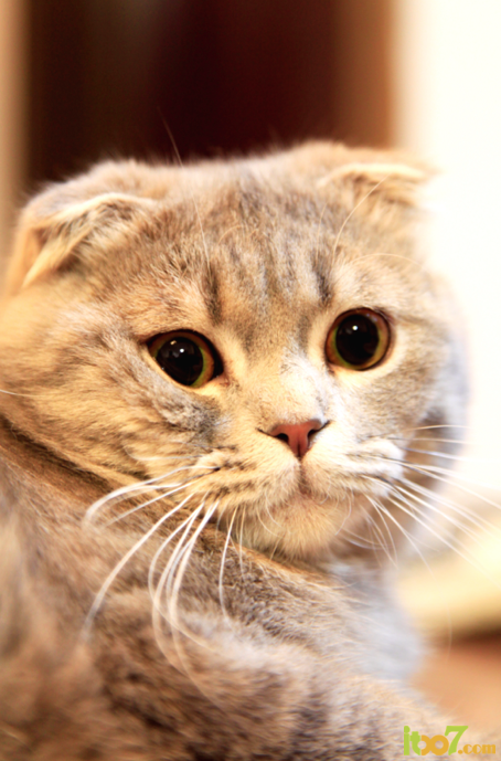 QQ20120603-8.png