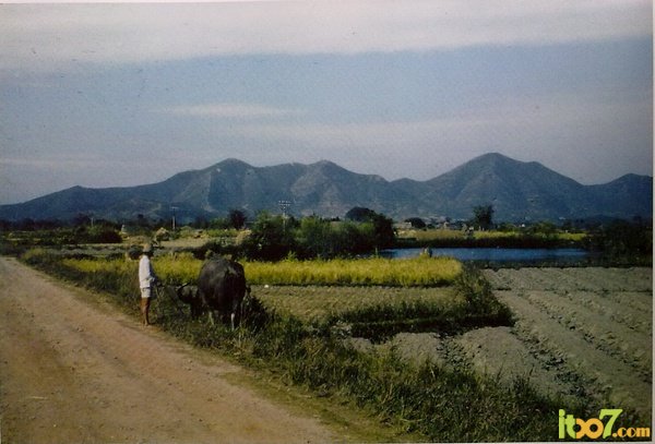 20106262160127.jpg