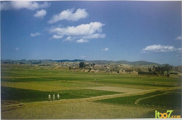 2010626162855550.jpg