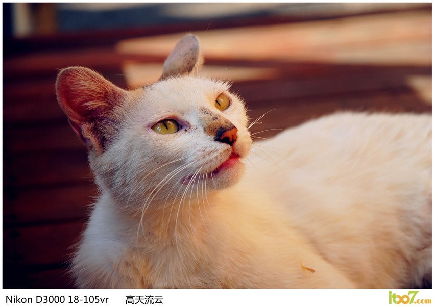 滇池海埂公园 010_副本_副本_副本.jpg