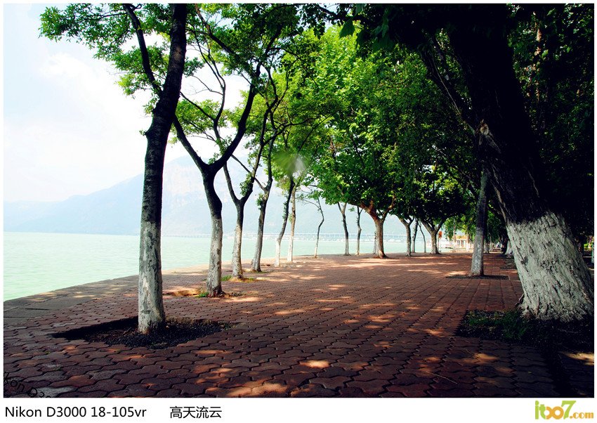 滇池海埂公园 055_副本_副本_副本.jpg
