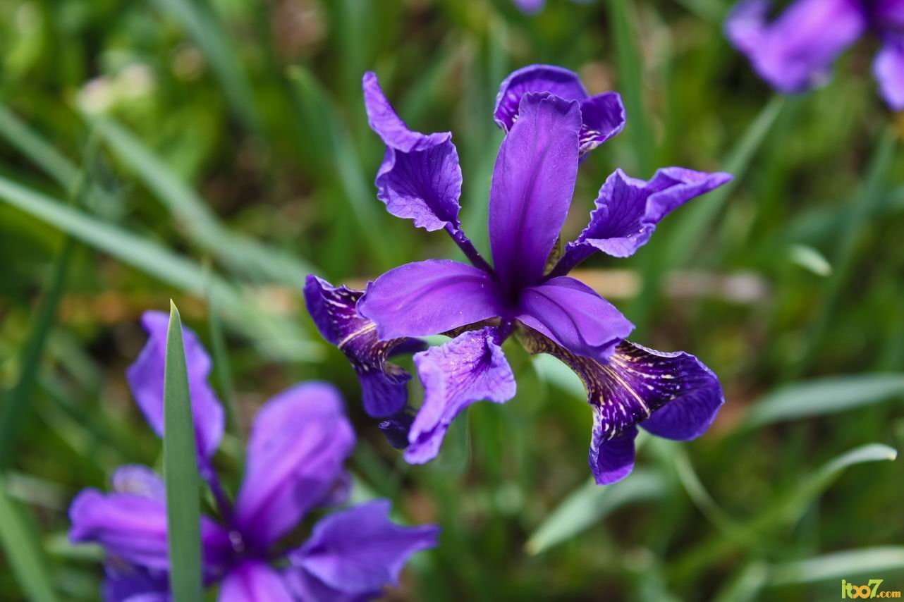 调整大小 IMG_5761.jpg