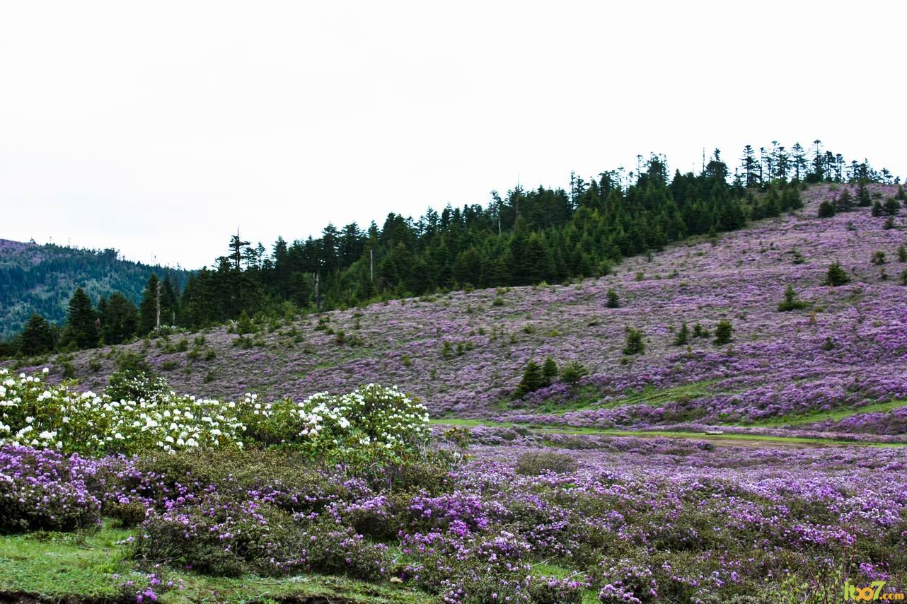 调整大小 IMG_5858.jpg