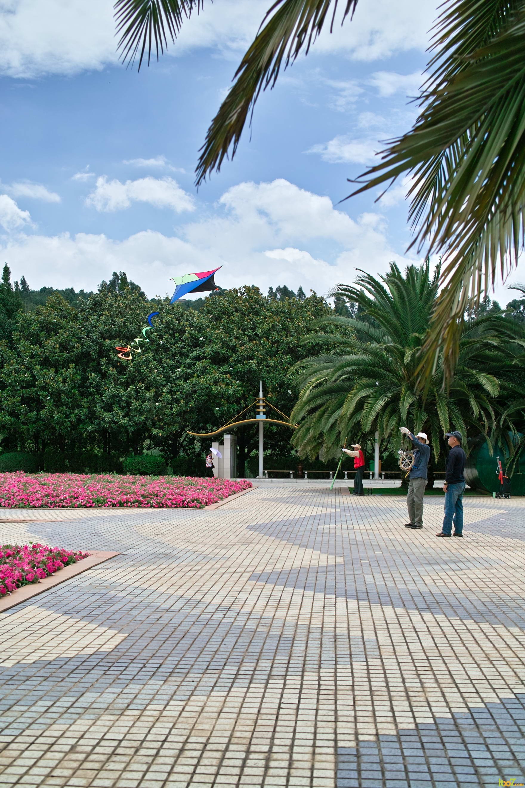 SDIM0204.jpg