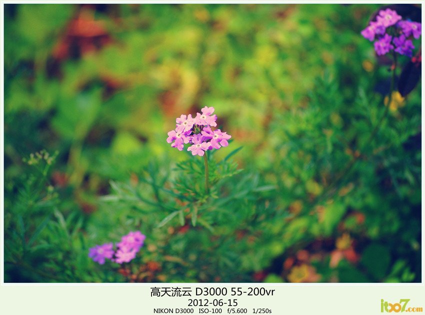 周末 草海 025_副本_副本_副本.jpg
