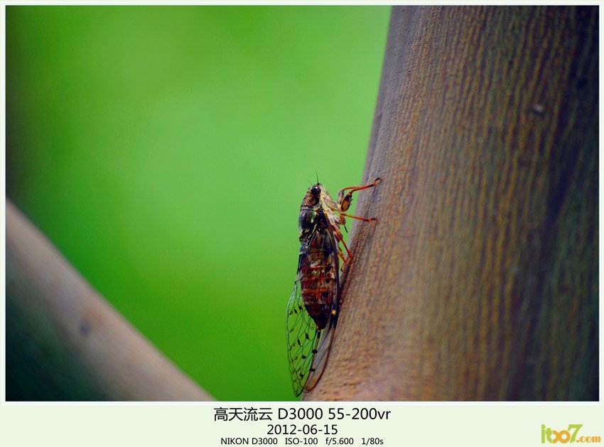 周末 草海 051_副本_副本_副本.jpg