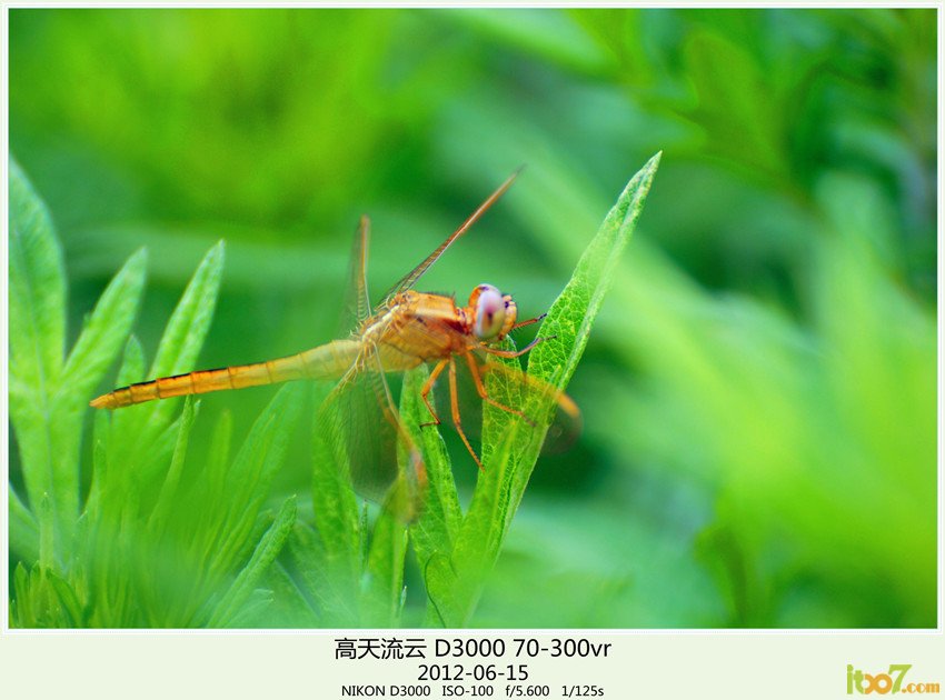 周末 草海 157_副本_副本_副本.jpg